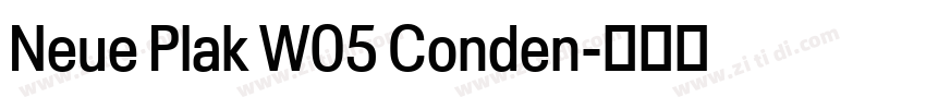 Neue Plak W05 Conden字体转换